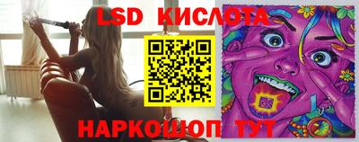 крисы Моздок