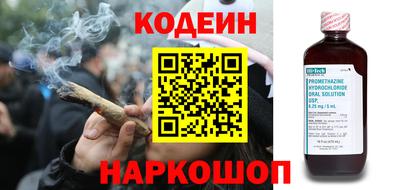 крисы Моздок