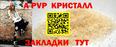 крисы Моздок