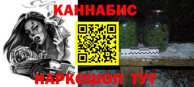 крисы Моздок