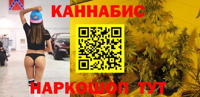 крисы Моздок
