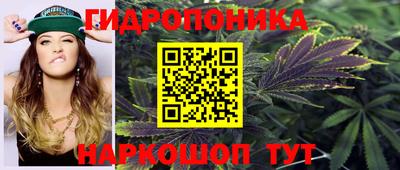 гашишное масло Можга