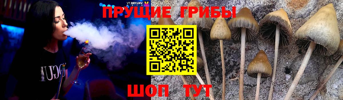 Псилоцибиновые грибы Magic Shrooms Губаха